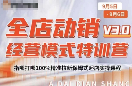 全店动销经营模式特训营，指哪打哪100%精准拉新保姆式起店实操课程-SSOKS网创项目-分享创业资讯_最新网络项目资源