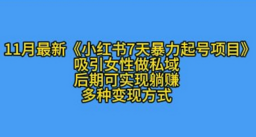 K总部落11月最新小红书7天暴力起号项目，吸引女性做私域-SSOKS网创项目-分享创业资讯_最新网络项目资源