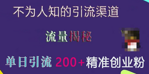 不为人知的引流渠道，流量揭秘，实测单日引流200+精准创业粉-SSOKS网创项目-分享创业资讯_最新网络项目资源