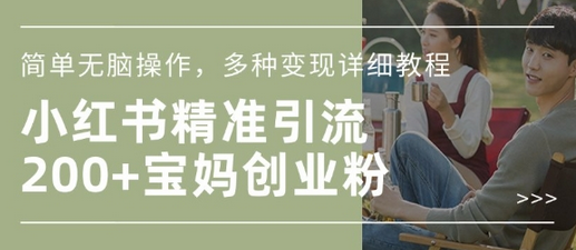 小红书混剪日引200+宝妈创业粉，简单无脑操作，多种变现详细教程-SSOKS网创项目-分享创业资讯_最新网络项目资源