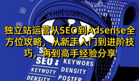 独立站运营从SEO到Adsense全方位攻略，从新手入门到进阶技巧，再到高手经验分享-SSOKS网创项目-分享创业资讯_最新网络项目资源