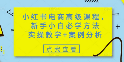 小红书电商高级课程，新手小白必学方法，实操教学+案例分析-SSOKS网创项目-分享创业资讯_最新网络项目资源