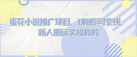 蛋花小说推文项目，0粉即可变现，新人搬运实操教程-SSOKS网创项目-分享创业资讯_最新网络项目资源