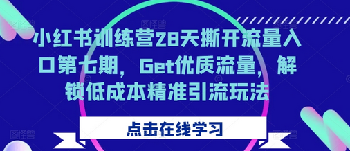 小红书训练营28天撕开流量入口第七期，Get优质流量，解锁低成本精准引流玩法-SSOKS网创项目-分享创业资讯_最新网络项目资源