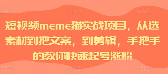 短视频meme猫实战项目，从选素材到把文案，到剪辑，手把手的教你快速起号涨粉-SSOKS网创项目-分享创业资讯_最新网络项目资源