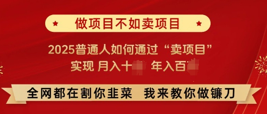 必看，做项目不如卖项目，2025普通人如何通过“卖项目”实现月入十个，年入百个-SSOKS网创项目-分享创业资讯_最新网络项目资源