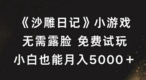 《沙雕日记》小游戏，无需露脸免费试玩，小白也能月入5000+-SSOKS网创项目-分享创业资讯_最新网络项目资源