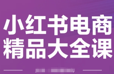 小红书电商精品大全课，快速掌握小红书运营技巧，实现精准引流与爆单目标，轻松玩转小红书电商-SSOKS网创项目-分享创业资讯_最新网络项目资源