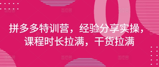 拼多多特训营，经验分享实操，课程时长拉满，干货拉满(更新25年4月)-SSOKS网创项目-分享创业资讯_最新网络项目资源