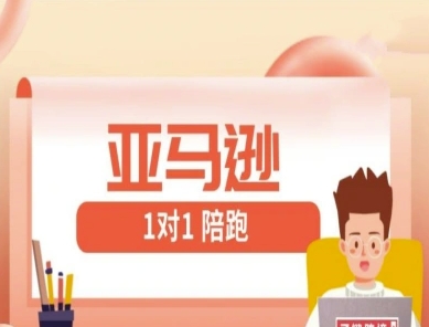 亚马逊1对1陪跑课(FBA/FBM精铺)跨境亚马逊教程-SSOKS网创项目-分享创业资讯_最新网络项目资源
