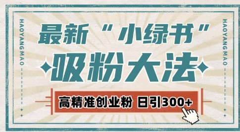 最新自动化“吸粉术”，小绿书激活私域流量，每日轻松吸引300+高质精准粉!-SSOKS网创项目-分享创业资讯_最新网络项目资源