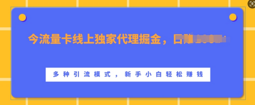 流量卡线上独家代理掘金，日入1k+ ，多种引流模式，新手小白轻松上手-SSOKS网创项目-分享创业资讯_最新网络项目资源