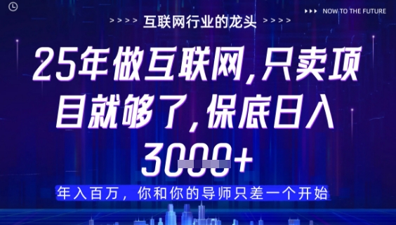 什么！25年你还在找项目做？风口早就变了，卖项目才是稳挣不赔【揭秘】-SSOKS网创项目-分享创业资讯_最新网络项目资源