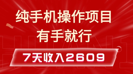 纯手机操作的小项目，有手就能做，7天收入2609+实操教程-SSOKS网创项目-分享创业资讯_最新网络项目资源