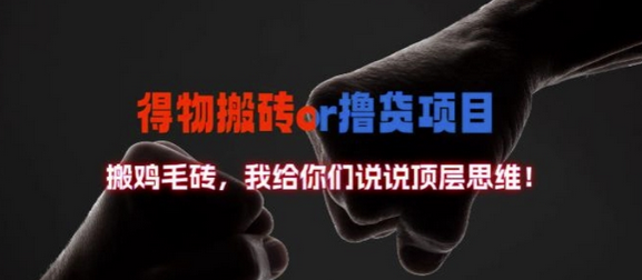 得物搬砖撸货项目?掰下数据，我给你们说说顶层思维-SSOKS网创项目-分享创业资讯_最新网络项目资源