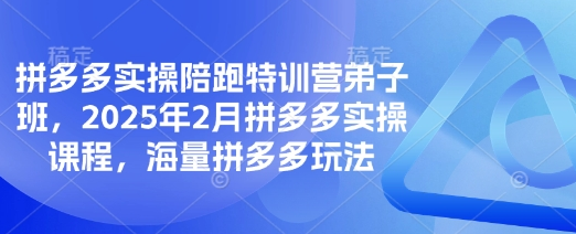 拼多多实操陪跑特训营弟子班，2025年2月拼多多实操课程，海量拼多多玩法-SSOKS网创项目-分享创业资讯_最新网络项目资源