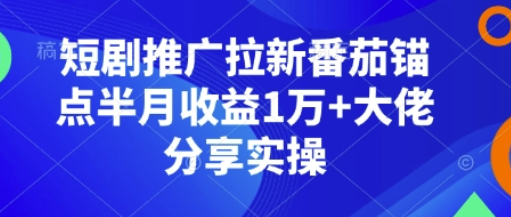 短剧推广拉新番茄锚点半月收益1万+大佬分享实操-SSOKS网创项目-分享创业资讯_最新网络项目资源
