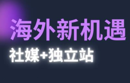 2025出海新机遇(社媒+独立站)，海外新机遇，实现独立站的高效运营与出海 2025-05-14 分类：VIP教程 / 网赚教程 / 网赚项目 评论(0)-SSOKS网创项目-分享创业资讯_最新网络项目资源