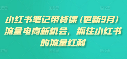 小红书笔记带货课(更新11月)流量电商新机会，抓住小红书的流量红利-SSOKS网创项目-分享创业资讯_最新网络项目资源