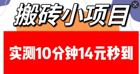 搬砖小项目，实测10分钟14元秒到，每天稳定几张(赠送必看稳定)-SSOKS网创项目-分享创业资讯_最新网络项目资源