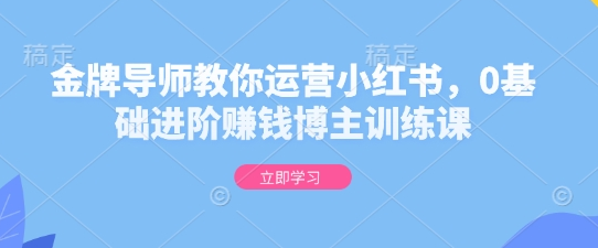 金牌导师教你运营小红书，0基础进阶赚钱博主训练课-SSOKS网创项目-分享创业资讯_最新网络项目资源