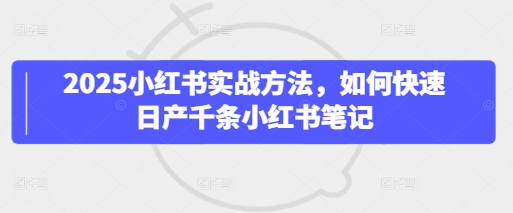 2025小红书实战方法，如何快速日产千条小红书笔记-SSOKS网创项目-分享创业资讯_最新网络项目资源