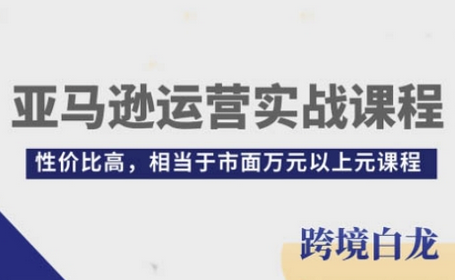 亚马逊运营实战课程，亚马逊从入门到精通，性价比高，相当于市面万元以上元课程-SSOKS网创项目-分享创业资讯_最新网络项目资源