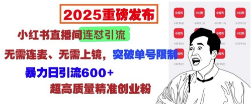 2025重磅发布：小红书直播间连怼引流，无需连麦、无需上镜，突破单号限制，暴力日引流600+-SSOKS网创项目-分享创业资讯_最新网络项目资源