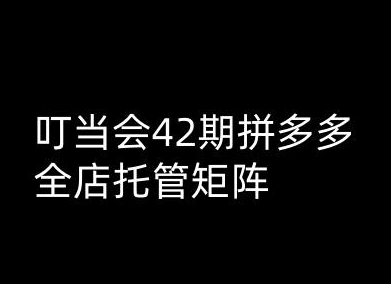 叮当会拼多多打爆班原创高阶技术第42期，拼多多全店托管矩阵-SSOKS网创项目-分享创业资讯_最新网络项目资源