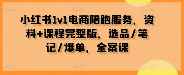 小红书1v1电商陪跑服务，资料+课程完整版，选品/笔记/爆单，全案课-SSOKS网创项目-分享创业资讯_最新网络项目资源