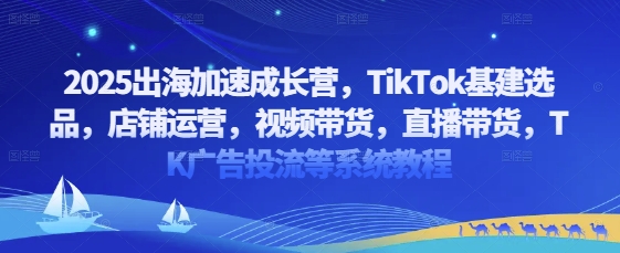 2025出海加速成长营，TikTok基建选品，店铺运营，视频带货，直播带货，TK广告投流等系统教程-SSOKS网创项目-分享创业资讯_最新网络项目资源