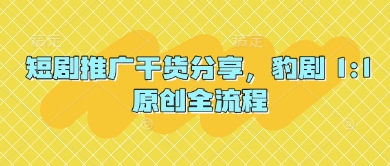 短剧推广干货分享，豹剧 1:1原创全流程-SSOKS网创项目-分享创业资讯_最新网络项目资源