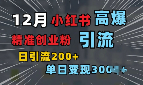 小红书一张图片“引爆”创业粉，单日+200+精准创业粉 可筛选付费意识创业粉-SSOKS网创项目-分享创业资讯_最新网络项目资源