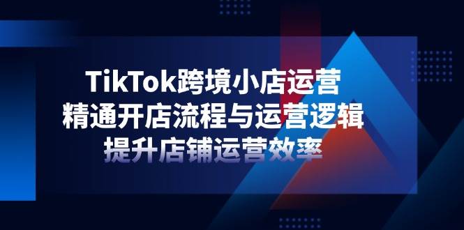 （14369期）TikTok跨境小店运营，精通开店流程与运营逻辑，提升店铺运营效率-SSOKS网创项目-分享创业资讯_最新网络项目资源