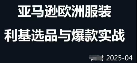 跨境电商选品案例24-25年，聚焦跨境电商选品策略与运营优化，助力卖家挖掘蓝海市场-SSOKS网创项目-分享创业资讯_最新网络项目资源