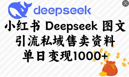 小红书Deepseek图文引流私域售卖资料，单日变现多张-SSOKS网创项目-分享创业资讯_最新网络项目资源