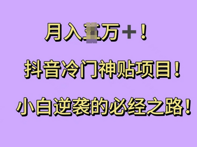 抖音冷门神贴项目，小白逆袭的必经之路，月入过W-SSOKS网创项目-分享创业资讯_最新网络项目资源