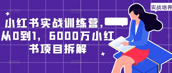 小红书实战训练营，从0到1，6000万小红书项目拆解-SSOKS网创项目-分享创业资讯_最新网络项目资源