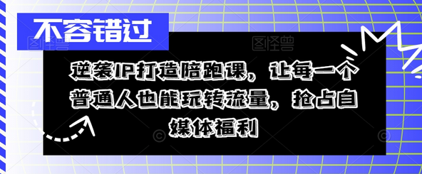 逆袭IP打造陪跑课，让每一个普通人也能玩转流量，抢占自媒体福利-SSOKS网创项目-分享创业资讯_最新网络项目资源