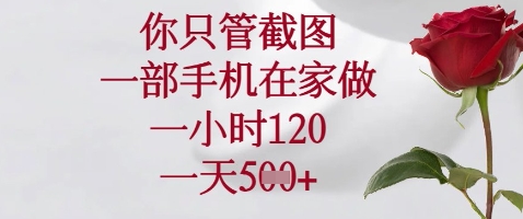 你只管截图，一部手机在家做，苹果安卓都可以，一小时120，一天5张+【揭秘】-SSOKS网创项目-分享创业资讯_最新网络项目资源