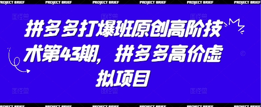 拼多多打爆班原创高阶技术第43期，拼多多高价虚拟项目-SSOKS网创项目-分享创业资讯_最新网络项目资源