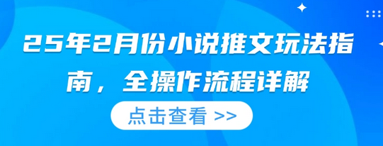 25年2月份小说推文玩法指南，全操作流程详解-SSOKS网创项目-分享创业资讯_最新网络项目资源
