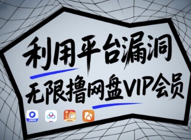 利用平台漏洞，无限撸网盘VIP会员，用户亲测有效!【漏洞原理+操作演示】-SSOKS网创项目-分享创业资讯_最新网络项目资源