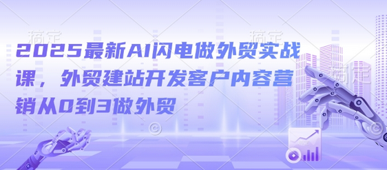 2025最新AI闪电做外贸实战课，外贸建站开发客户内容营销从0到3做外贸-SSOKS网创项目-分享创业资讯_最新网络项目资源