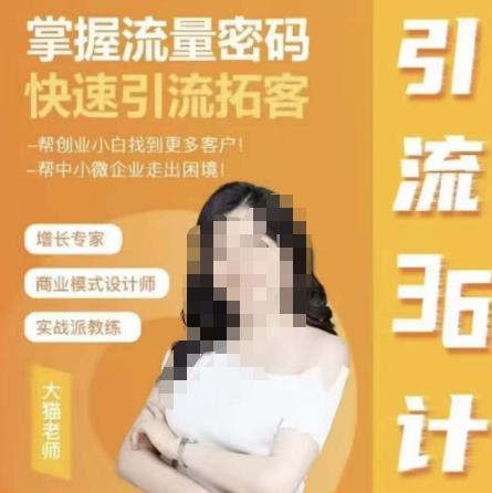 大猫·引流36计，掌握流量密码，快速引流拓客，帮创业小白找到更多客户，帮中小微企业走出困境-SSOKS网创项目-分享创业资讯_最新网络项目资源