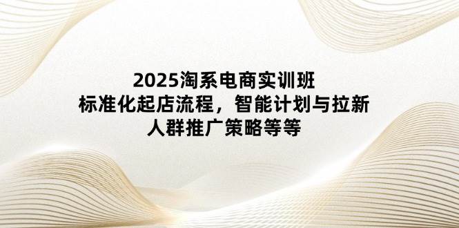 （14522期）2025淘系电商实训班：标准化起店流程，智能计划与拉新，人群推广策略等等-SSOKS网创项目-分享创业资讯_最新网络项目资源