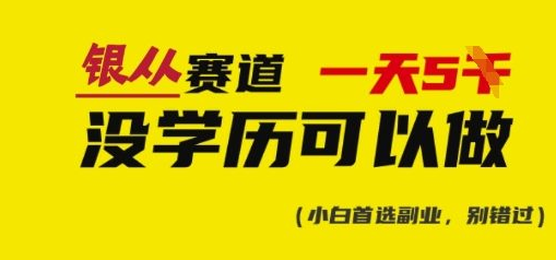 靠银从证书，日入多张，会截图就能做，直接抄答案(附：银从合集)-SSOKS网创项目-分享创业资讯_最新网络项目资源