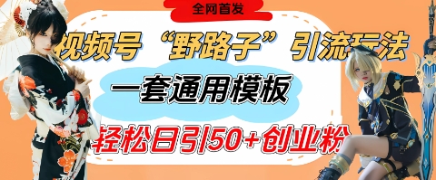 视频号“野路子”玩法，评论区疯狂截流，一套模板单日单号引流50+创业粉-SSOKS网创项目-分享创业资讯_最新网络项目资源