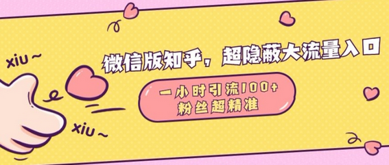 微信版知乎，超隐蔽流量入口1小时引流100人，粉丝质量超高-SSOKS网创项目-分享创业资讯_最新网络项目资源