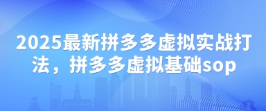 2025最新拼多多虚拟实战打法，拼多多虚拟基础sop-SSOKS网创项目-分享创业资讯_最新网络项目资源
